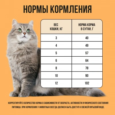Bowl Wow 4кг с индейкой и тыквой сухой для кошек с чувствительным пищеварением (660194) фото Bowl Wow 4кг с индейкой и тыквой сухой для кошек с чувствительным пищеварением (660194) фото
