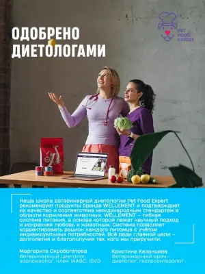 Wellement Курица с крилем рубленое мясо в соусе для взрослых кошек, 80 г фото