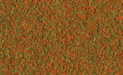 Tetra Pro Energy Multi Crisp 0,25л корм чипсы улучшенная формула для рыб фото