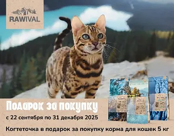 Rawival: когтеточка в подарок при покупке корма 