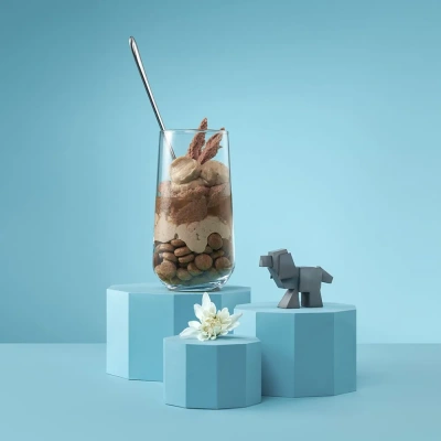 Wellement 2,5кг с индейкой сухой для собак средних и крупных пород (003775) фото