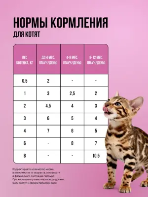 Bowl Wow 0,085кг индейка и брокколи в кусочки в желе для котят и беременных кошек (665120) фото