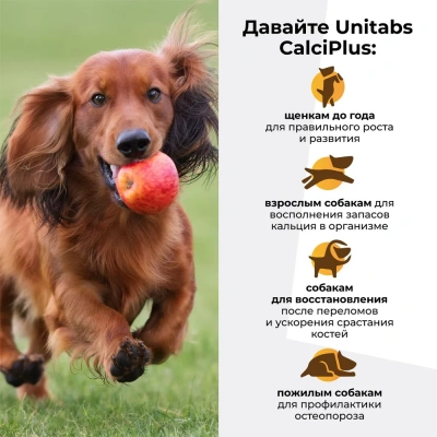 Unitabs 100таб./0,15кг витаминно-минеральная добавка CalciPlus Q10 с кальцием и витамином Д3 для собак фото Unitabs 100таб./0,15кг витаминно-минеральная добавка CalciPlus Q10 с кальцием и витамином Д3 для собак фото