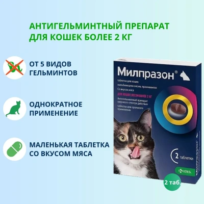Милпразон (KRKA) 16/40мг 2таб. антигельминтик для кошек свыше 2кг, 1таб./4-8кг (ЛИЦЕНЗИЯ) Милпразон (KRKA) 16/40мг 2таб. антигельминтик для кошек свыше 2кг, 1таб./4-8кг (ЛИЦЕНЗИЯ)