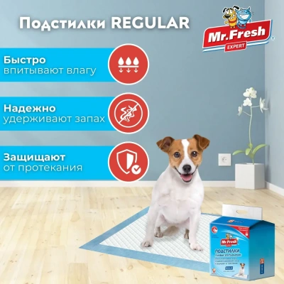 Пеленки (Mr.Fresh) Regular для ежедневного применения (60*60) 24 шт. фото Пеленки (Mr.Fresh) Regular для ежедневного применения (60*60) 24 шт. фото
