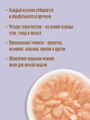 Деревенские лакомства Домашние обеды 0,07кг Филейный лосось в нежном желе для кошек (79218916) New фото Деревенские лакомства Домашние обеды 0,07кг Филейный лосось в нежном желе для кошек (79218916) New фото