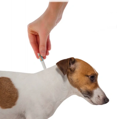 Адвокат капли (1пип) для собак 4-10кг от чесоточных клещей, блох и гельминтов (ЛИЦЕНЗИЯ) фото Адвокат капли (1пип) для собак 4-10кг от чесоточных клещей, блох и гельминтов (ЛИЦЕНЗИЯ) фото