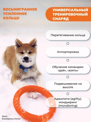 Игрушка (Doglike) Кольцо 8-мигранное DL малое, оранжевое d-20см для собак фото