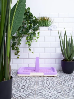 Туалет (ZooOne) P159-06 (48*35*6) со столбиком для собак, фиолетовый фото