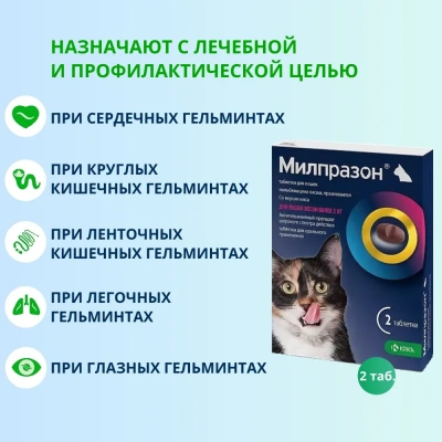 Милпразон (KRKA) 16/40мг 2таб. антигельминтик для кошек свыше 2кг, 1таб./4-8кг (ЛИЦЕНЗИЯ) фото Милпразон (KRKA) 16/40мг 2таб. антигельминтик для кошек свыше 2кг, 1таб./4-8кг (ЛИЦЕНЗИЯ) фото