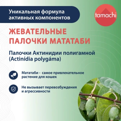 Tamachi Мататаби жевательные палочки для кошек 3шт фото Tamachi Мататаби жевательные палочки для кошек 3шт фото