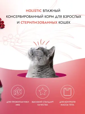 Best Dinner Cat Holistic Sterilised 0,07кг филе в желе с цыпленком и клюквой для стерилизованных кошек (408993) фото