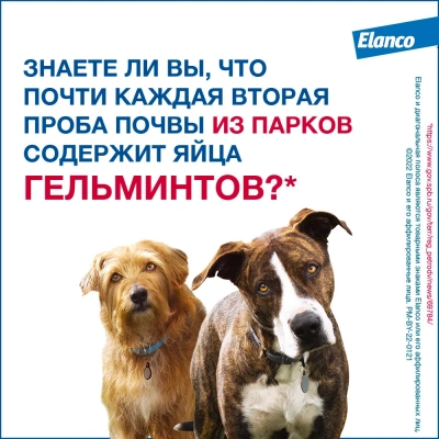 Мильбемакс (Elanco) 2таб. антигельминтик для щенков и собак до 5кг, 1таб./5 кг (ЛИЦЕНЗИЯ) фото Мильбемакс (Elanco) 2таб. антигельминтик для щенков и собак до 5кг, 1таб./5 кг (ЛИЦЕНЗИЯ) фото