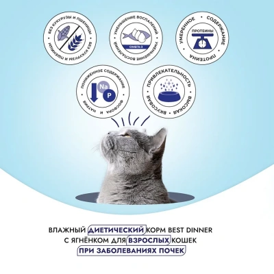 Best Dinner Vet Profi Renal 0,1кг (диета при почечной недостаточности) ягненок паштет для кошек (406517) фото