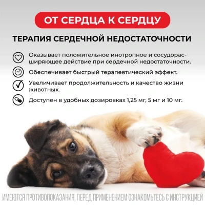 Авекардит 10мг для крупных собак, 28 табл. (ЛИЦЕНЗИЯ) фото Авекардит 10мг для крупных собак, 28 табл. (ЛИЦЕНЗИЯ) фото