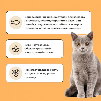 Bowl Wow 4кг с индейкой и тыквой сухой для кошек с чувствительным пищеварением (660194) фото