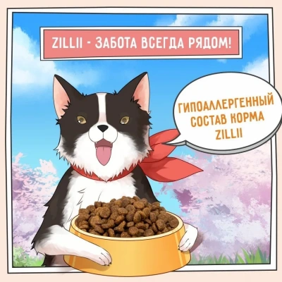 ZILLII (Зилли) Dog Adult Small Breed 15кг индейка и утка сухой для собак мелких пород (350471) фото