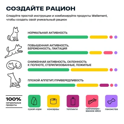 Wellement 10кг индейка сухой для собак средних и крупных пород (003805) фото Wellement 10кг индейка сухой для собак средних и крупных пород (003805) фото