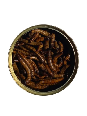 Онто (Onto) 0,04кг Зофобас консервированный фото Онто (Onto) 0,04кг Зофобас консервированный фото