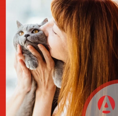 Гепатоджект инъекционный раствор, 20мл (ЛИЦЕНЗИЯ) фото Гепатоджект инъекционный раствор, 20мл (ЛИЦЕНЗИЯ) фото