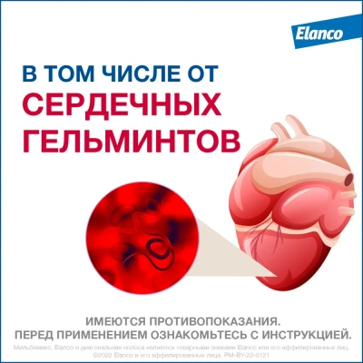 Мильбемакс (Elanco) 2таб. антигельминтик для собак более 5кг, 1таб./5-25кг (ЛИЦЕНЗИЯ) фото