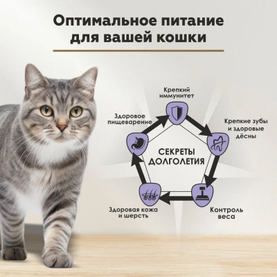 Секрет (Secret) Life Force 0,085кг кролик в соусе пауч для стерилизованных кошек и кастрированных котов (22808) фото