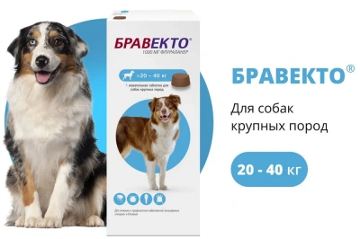 Бравекто (MSD Animal health) 1000мг от блох и клещей для собак 20-40кг 1таб. (12 недель) (ЛИЦЕНЗИЯ) фото