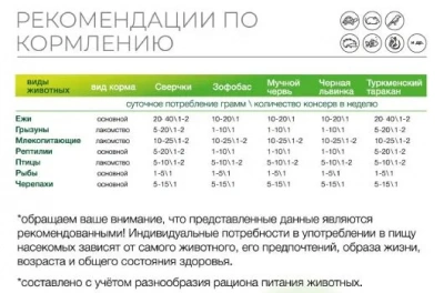 Онто (Onto) 0,04кг Зофобас консервированный фото Онто (Onto) 0,04кг Зофобас консервированный фото