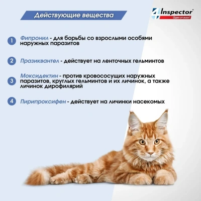 Inspector Quadro К (3пип) капли от блох, клещей и глистов для кошек от 1 до 4кг (ЛИЦЕНЗИЯ) фото Inspector Quadro К (3пип) капли от блох, клещей и глистов для кошек от 1 до 4кг (ЛИЦЕНЗИЯ) фото