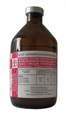 Лептоспироза животных поливалентная КРС 2 вариант  вакцина 10доз/100мл Лептоспироза животных поливалентная КРС 2 вариант  вакцина 10доз/100мл