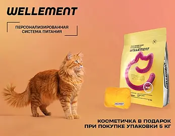 Wellement: подарок при покупке