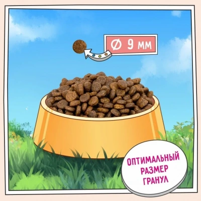 ZILLII (Зилли) Cat Hairball Control 10кг индейка и утка сухой для кошек, против комочков шерсти в желудке (352260) фото