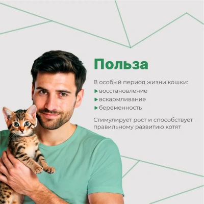 Комплекс (GlobalVet) мультивитаминный для беременных и кормящих кошек и котят 120 таб. фото Комплекс (GlobalVet) мультивитаминный для беременных и кормящих кошек и котят 120 таб. фото