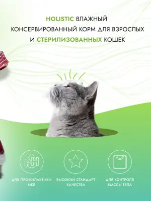 Best Dinner Cat Holistic Sterilised 0,07кг филе в желе с курицей, тунцом и водорослями для стерилизованных кошек (408955) фото