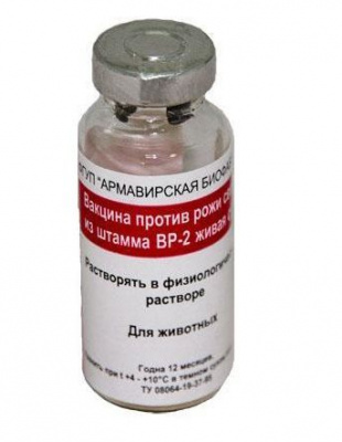 Рожи свиней ВР-2 Вакцина 10-20доз (Армавир) Рожи свиней ВР-2 Вакцина 10-20доз (Армавир)