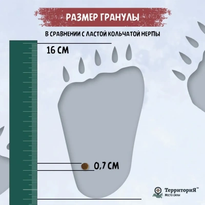 ТерриториЯ Таймыр 5кг рыба с брусникой сухой для взрослых кошек (560339) фото