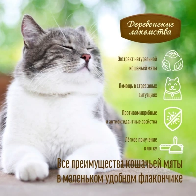 Деревенские лакомства 0,1л Кошачья мята экстракт-спрей (79711465) фото