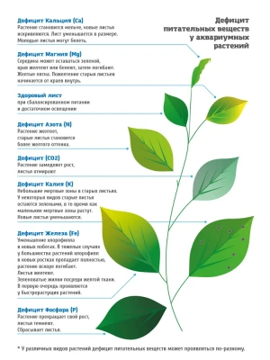 Стимулятор (Нилпа) Железо для роста аквариумных растений 230мл для повышения содержания железа (Fe2+) фото