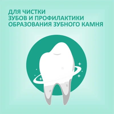 Biff 0,077кг Dent жевательный снек со вкусом телятины для собак средних пород фото