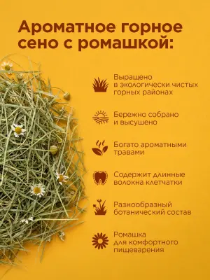 Сено (Little One) Горное с ромашкой 0,4кг для грызунов фото