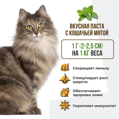 Unitabs 0,12л витаминная паста BiotinPlus с биотином и таурином для шерсти кошек фото Unitabs 0,12л витаминная паста BiotinPlus с биотином и таурином для шерсти кошек фото