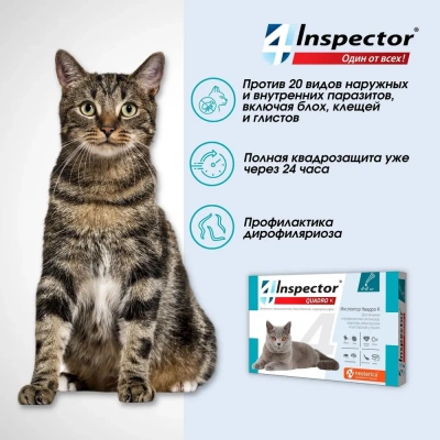 Inspector Quadro К (3пип) капли от блох, клещей и глистов для кошек от 4 до 8кг (ЛИЦЕНЗИЯ) фото Inspector Quadro К (3пип) капли от блох, клещей и глистов для кошек от 4 до 8кг (ЛИЦЕНЗИЯ) фото