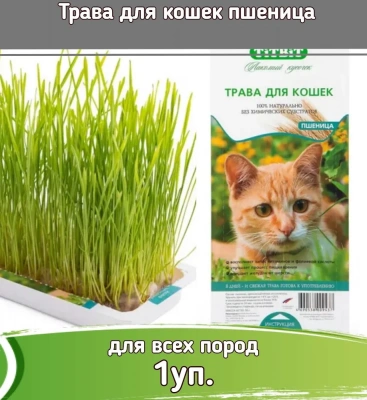 TiTBiT трава для кошек пшеница фото