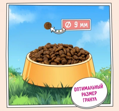 ZILLII (Зилли) Cat Sterilized Light 0,4кг индейка и утка сухой для кошек с избыточным весом (350884) фото ZILLII (Зилли) Cat Sterilized Light 0,4кг индейка и утка сухой для кошек с избыточным весом (350884) фото