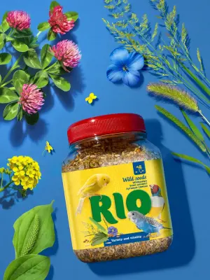 Rio 0,24кг смесь семена луговых трав для всех видов птиц фото