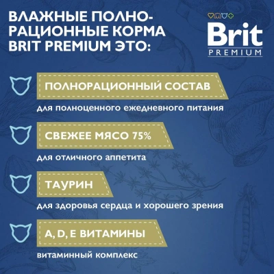 Brit Premium 0,085кг форель в желе пауч для взрослых кошек (5050185) фото Brit Premium 0,085кг форель в желе пауч для взрослых кошек (5050185) фото