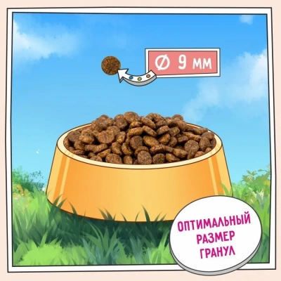 ZILLII (Зилли) Cat Urinary Care 2кг индейка сухой для домашних кошек (352222) фото ZILLII (Зилли) Cat Urinary Care 2кг индейка сухой для домашних кошек (352222) фото