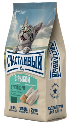 я11