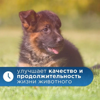 Авекардит 1,25мг для мелких собак, 28 табл. (ЛИЦЕНЗИЯ) фото Авекардит 1,25мг для мелких собак, 28 табл. (ЛИЦЕНЗИЯ) фото