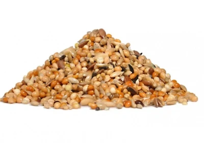 Rio 20кг корм для волнистых попугайчиков основной рацион фото